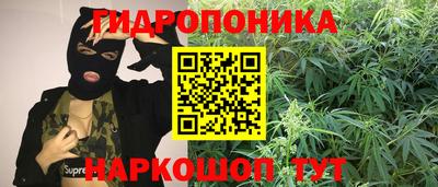 PSILOCYBIN Шебекино