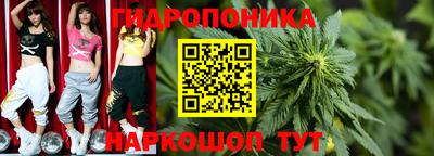 PSILOCYBIN Шебекино