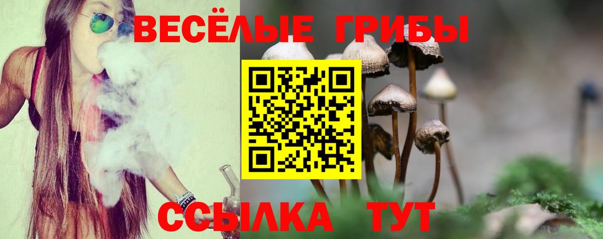 что такое   Вход с VPN  Ахтубинск  Галлюциногенные грибы Cubensis 